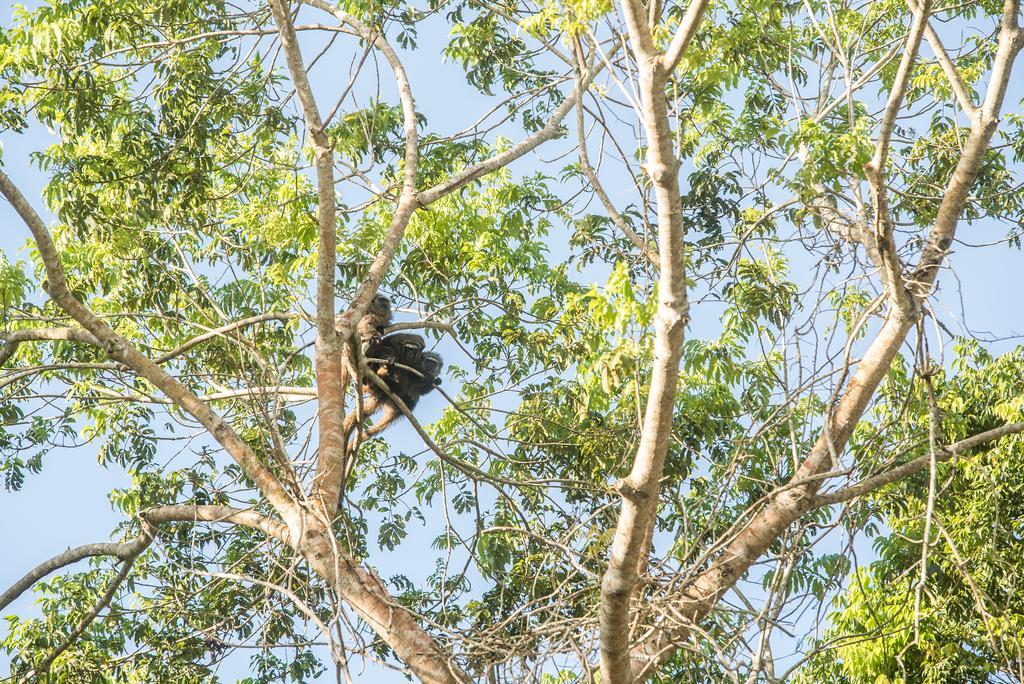 Pousada Vila Flor Da Mata Trancoso Dış mekan fotoğraf