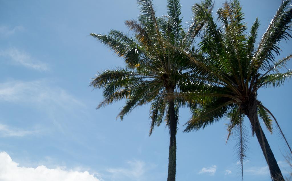 Pousada Vila Flor Da Mata Trancoso Dış mekan fotoğraf